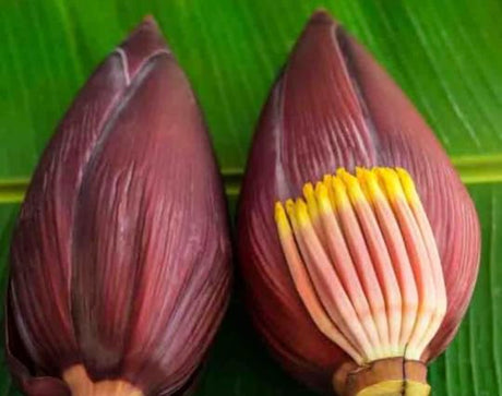 Banana Flower / Vazha Koombu -Ea ( Approx 1.5 Lb )