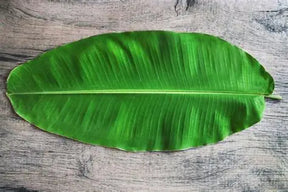 Banana Leaves For Meals - 1 Pc