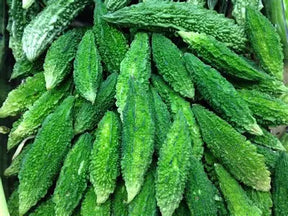 Bitter Gourd / Karela / Pavakkai - 1 Lb