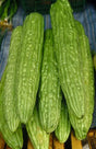Bittermelon Chineese -1Lb