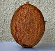 Brown Coconut 1Pc