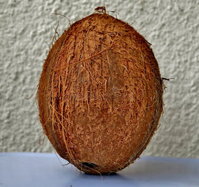 Brown Coconut 1Pc
