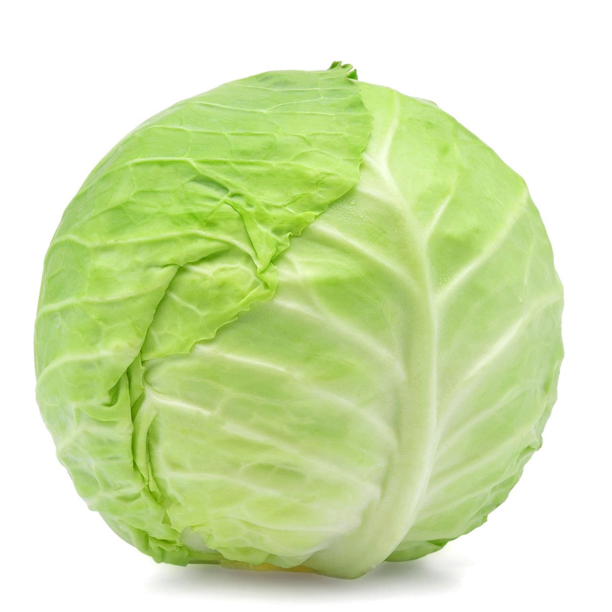 Cabbage Green 1Lb