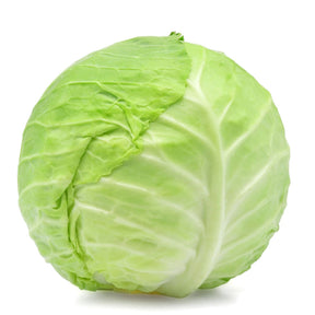 Cabbage Green 1Lb