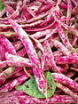 Canberry Beans - 1Lb