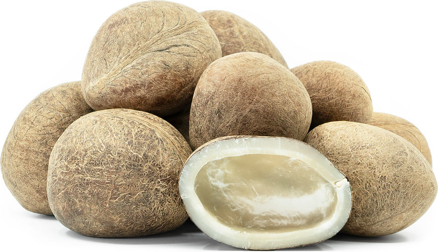 Coconut Dry - 1Ea