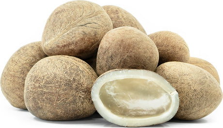 Coconut Dry - 1Ea