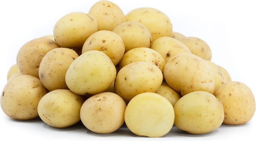 Creamer Potato White 1Lb