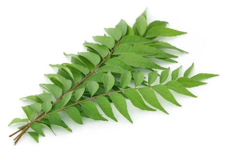 Curry Leaves -1 Pkt