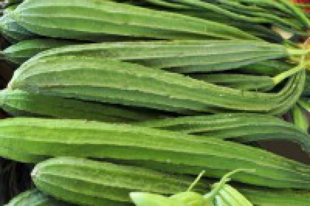 Desi Okra-Turai -1Lb