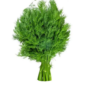 Dill / Suva Leaves - 1 Bunch