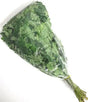 Drumstick Leaves -1Bunch 0.5 Lb