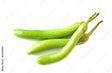 Eggplant Green Long  0.5Lb