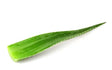 Fresh Aloe Vera - 1 Leaf