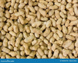 Fresh Peanuts 0.5Lb