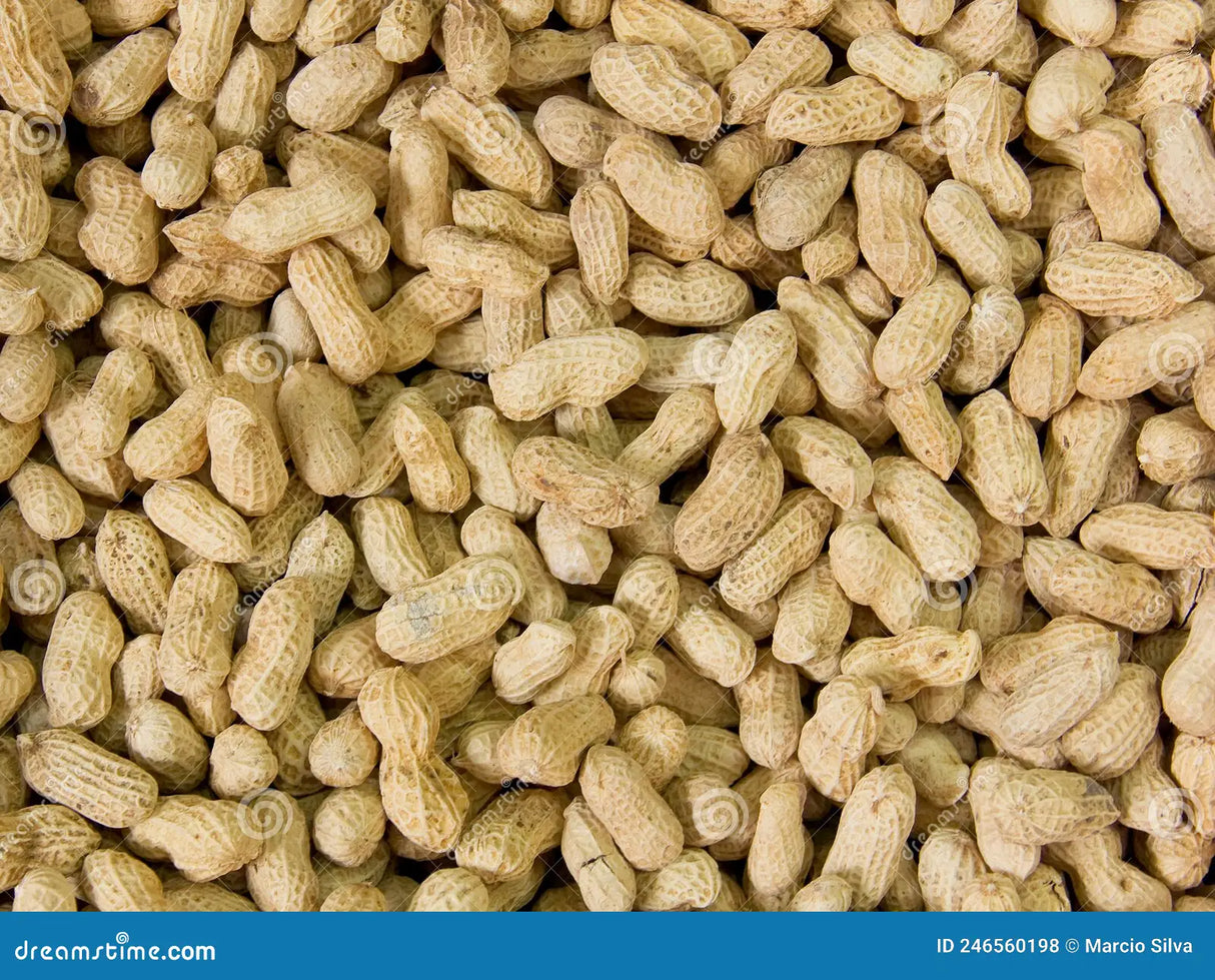 Fresh Peanuts 0.5Lb