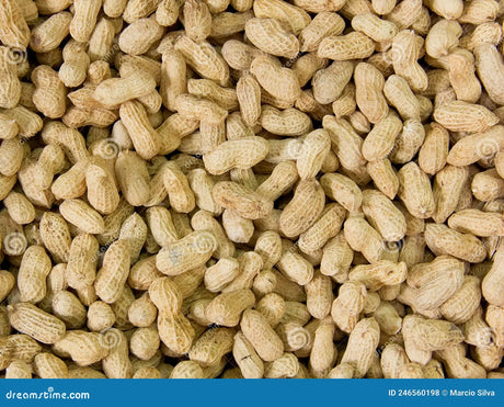 Fresh Peanuts 0.5Lb