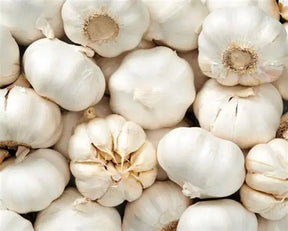 Garlic Loose  0.25Lb