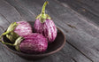 Grafiti Eggplant 1Lb