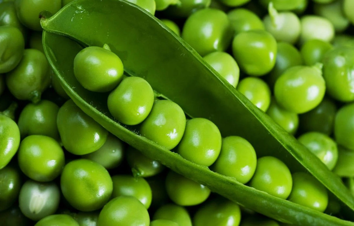 Green Peas - Mutter 0.5Lb