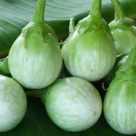 Green Round Eggplant 1Lb