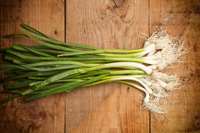 Green Spring Oinions 1 Bunch