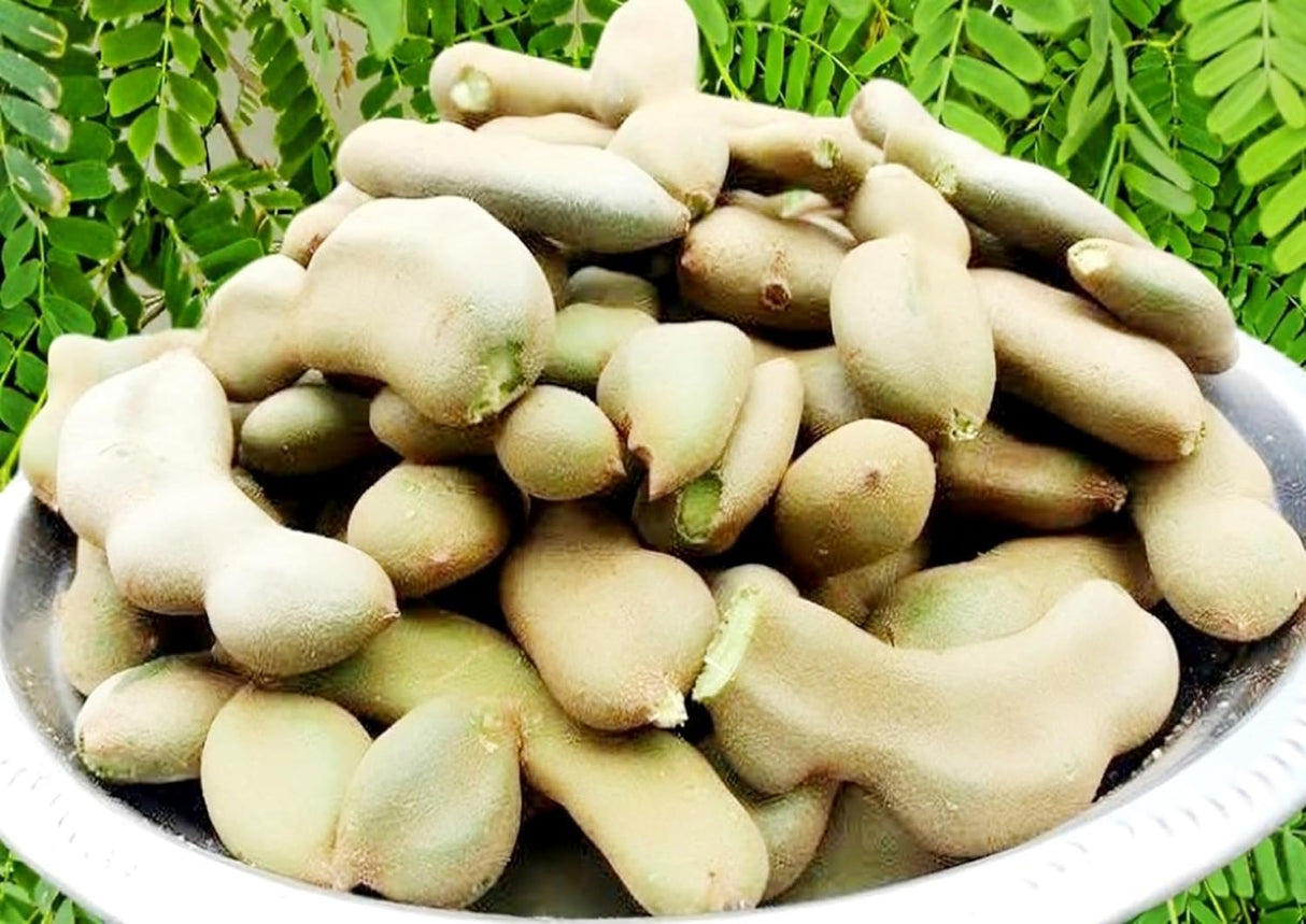 Green Tamarind 0.5Lb