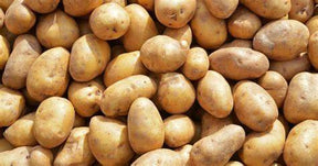 Idaho Potato 5Lb