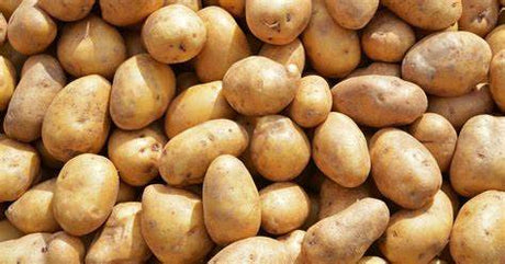 Idaho Potato 5Lb