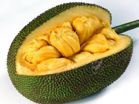 Jackfruit Lb