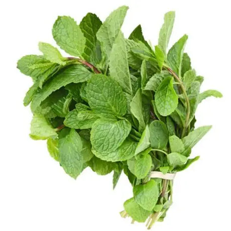 Mint Leaves- 1Bunch