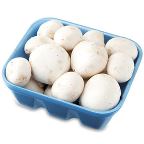 Mushroom 1 Tray