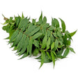 Neem Leaves- 5Pc - 1Pkt