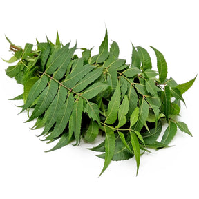 Neem Leaves- 5Pc - 1Pkt