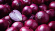 Onion Red 1Lb
