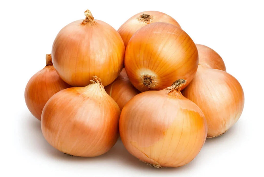 Onion Yellow 1Lb