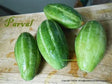 Parval 0.5Lb