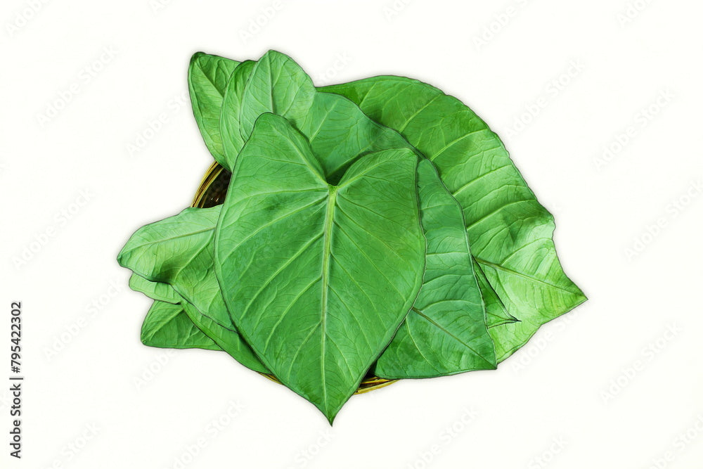 Patra Leaves 1Ea