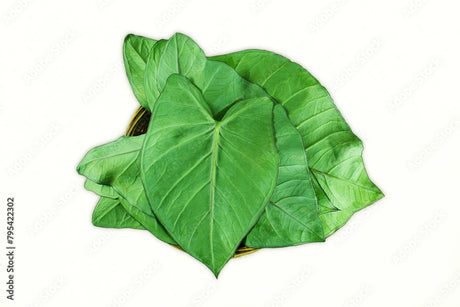 Patra Leaves 1Ea