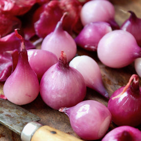 Pearl Onion 0.5 Lb
