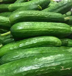 Persian Cucumber 0.5 Lb