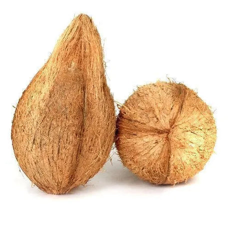 Pooja Coconut 1Each