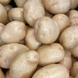 Potato White 10Lb
