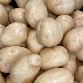 Potato White 10Lb