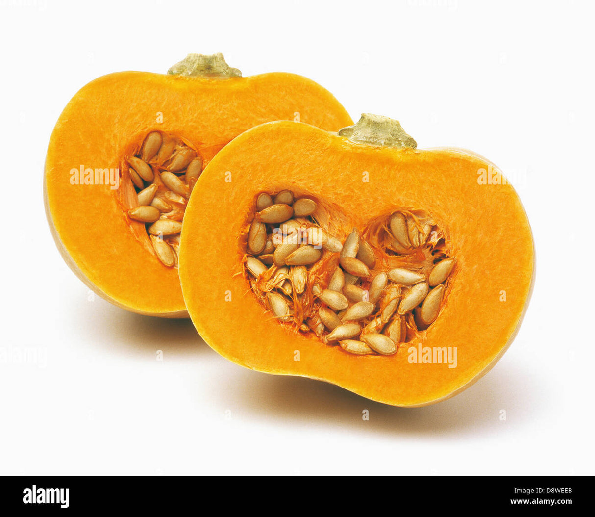 Pumpkin Yellow 1Lb