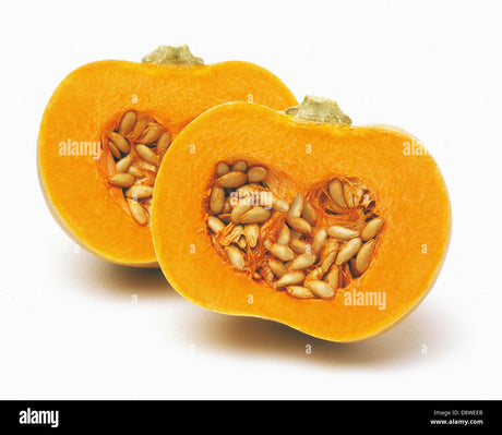 Pumpkin Yellow 1Lb