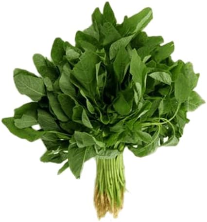 Red Leaves / Thotakura / Amaranth Leaves -0.5 Lb