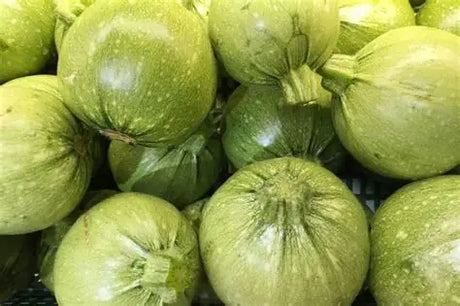 Round Squash 1Ea