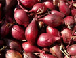 Shallots Red 1Lb