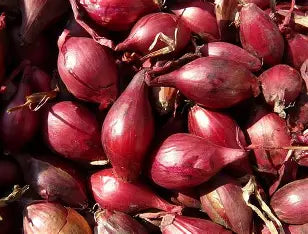Shallots Red 1Lb